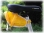 images/v/201108/13143375663_bicycle bag.jpg